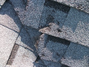 Check your roof for damaged shingles