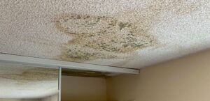 roof-leaks-causing-mold-growth
