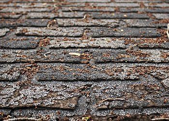 damaged-roofing-shingles